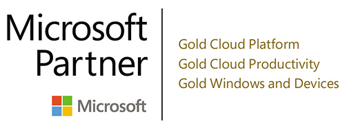 MS Gold Partner