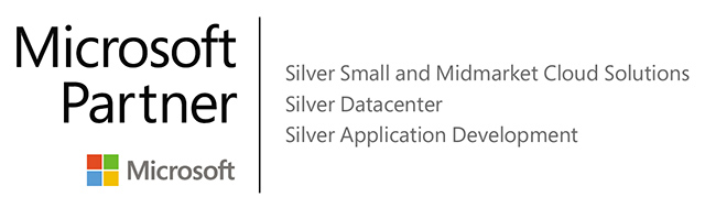 MS Silver Partner